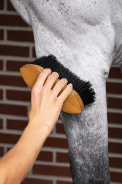 HORSE HEALTH TRADE LeMieux® Artisan Flick Brush- Brushes & Hoof Picks