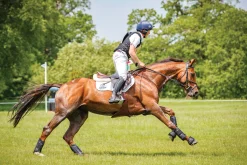 HORSE HEALTH TRADE LeMieux® Ballistic Overreach Boots- Bell Boots|Bell Boots