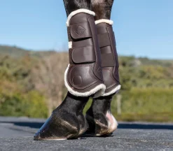 HORSE HEALTH TRADE LeMieux® Capella Comfort Tendon Boots- Horse Boots