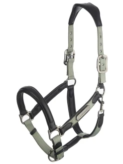 HORSE HEALTH TRADE LeMieux® Capella Headcollar- Halters