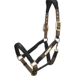 HORSE HEALTH TRADE LeMieux® Capella Headcollar- Halters