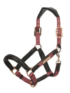 HORSE HEALTH TRADE LeMieux® Capella Headcollar- Halters
