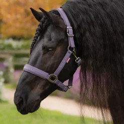 HORSE HEALTH TRADE LeMieux® Essence Halter- Halters