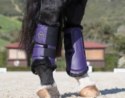 HORSE HEALTH TRADE LeMieux® Fleece-Lined Brushing Boots- Horse Boots
