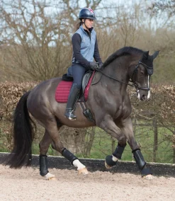 HORSE HEALTH TRADE LeMieux® Fleece-Lined Brushing Boots- Horse Boots