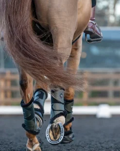 HORSE HEALTH TRADE LeMieux® Fleece-Lined Brushing Boots- Horse Boots