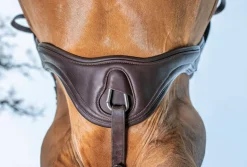 HORSE HEALTH TRADE LeMieux® Gel-Tek Anatomic Jumping Girth- Girths & Accessories