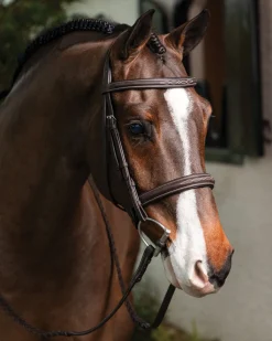 HORSE HEALTH TRADE LeMieux® Hunter-Stitched Bridle- English Bridles
