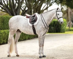 HORSE HEALTH TRADE LeMieux® Hunter-Stitched Bridle- English Bridles