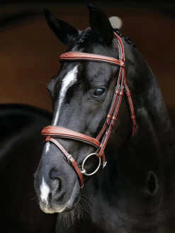HORSE HEALTH TRADE LeMieux® Kudos Competition Flash Bridle- English Bridles