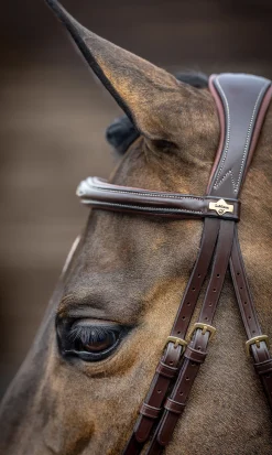 HORSE HEALTH TRADE LeMieux® Kudos Competition Flash Bridle- English Bridles
