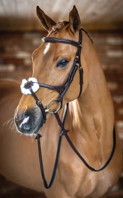 HORSE HEALTH TRADE LeMieux® Kudos Figure-8 Bridle- English Bridles