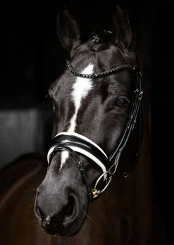 HORSE HEALTH TRADE LeMieux® Kudos Patent Leather Dressage Bridle- English Bridles