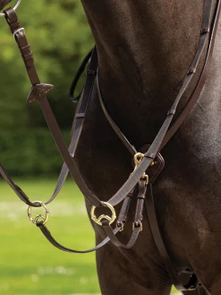 HORSE HEALTH TRADE LeMieux® Kudos Running Martingale- Martingales & Breastplates