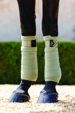 HORSE HEALTH TRADE LeMieux® Loire Polo Wraps- Horse Leg Wraps
