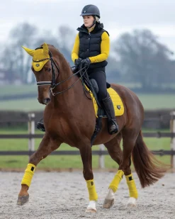 HORSE HEALTH TRADE LeMieux® Loire Satin Polo Bandages- Horse Leg Wraps