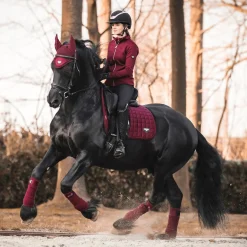 HORSE HEALTH TRADE LeMieux® Loire Satin Polo Bandages- Horse Leg Wraps