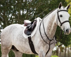 HORSE HEALTH TRADE LeMieux® Merino+ ProSorb Hunter Saddle Pad- Close Contact Saddle Pads