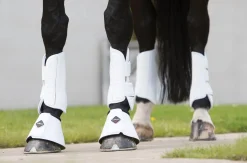 HORSE HEALTH TRADE LeMieux® Pro Schooling Boots- Horse Boots
