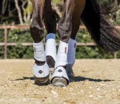 HORSE HEALTH TRADE LeMieux® ProShell Brushing Boots- Horse Boots