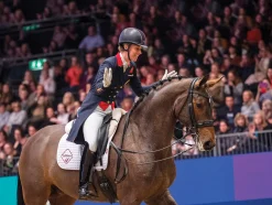 HORSE HEALTH TRADE LeMieux® ProSport Cotton Dressage Square Pad- Dressage Pads|Close Contact Saddle Pads