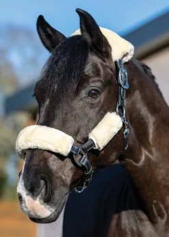 HORSE HEALTH TRADE LeMieux® Simuwool 4-Piece Halter Set- Trailering|Halter Accessories