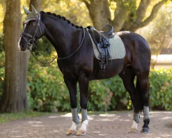 HORSE HEALTH TRADE LeMieux® Suede Dressage Saddle Pad- Dressage Pads|Close Contact Saddle Pads