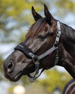 HORSE HEALTH TRADE LeMieux® Vogue Halter & Rope Lead Set- Halters
