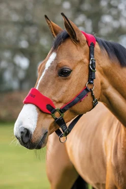 HORSE HEALTH TRADE LeMieux® Vogue Halter & Rope Lead Set- Halters