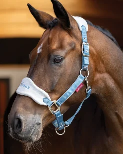 HORSE HEALTH TRADE LeMieux® Vogue Halter & Rope Lead Set- Halters