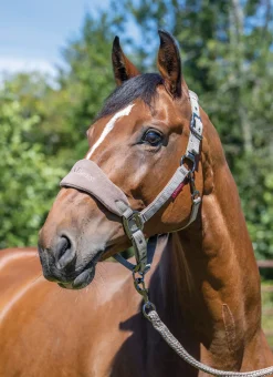 HORSE HEALTH TRADE LeMieux® Vogue Halter & Rope Lead Set- Halters