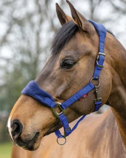 HORSE HEALTH TRADE LeMieux® Vogue Halter & Rope Lead Set- Halters