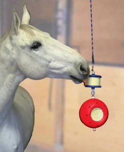 RJ MATTHEWS Likit™ Boredom Breaker™- Horse Toys