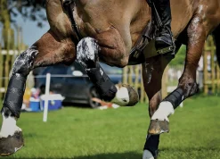 MAJYK EQUIPE ® XC Elite Hind Boot with Arti-Lage™ Technology- Horse Boots