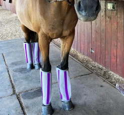 MAJYK EQUIPE ®Fly-Bye Boots Pack of 4- Fly Control|Fly Boots