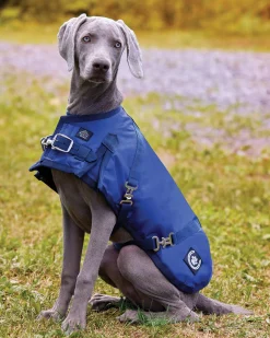 CWEAR BRANCH NorthWind™ Dog Turnout Blanket- Dog Blankets