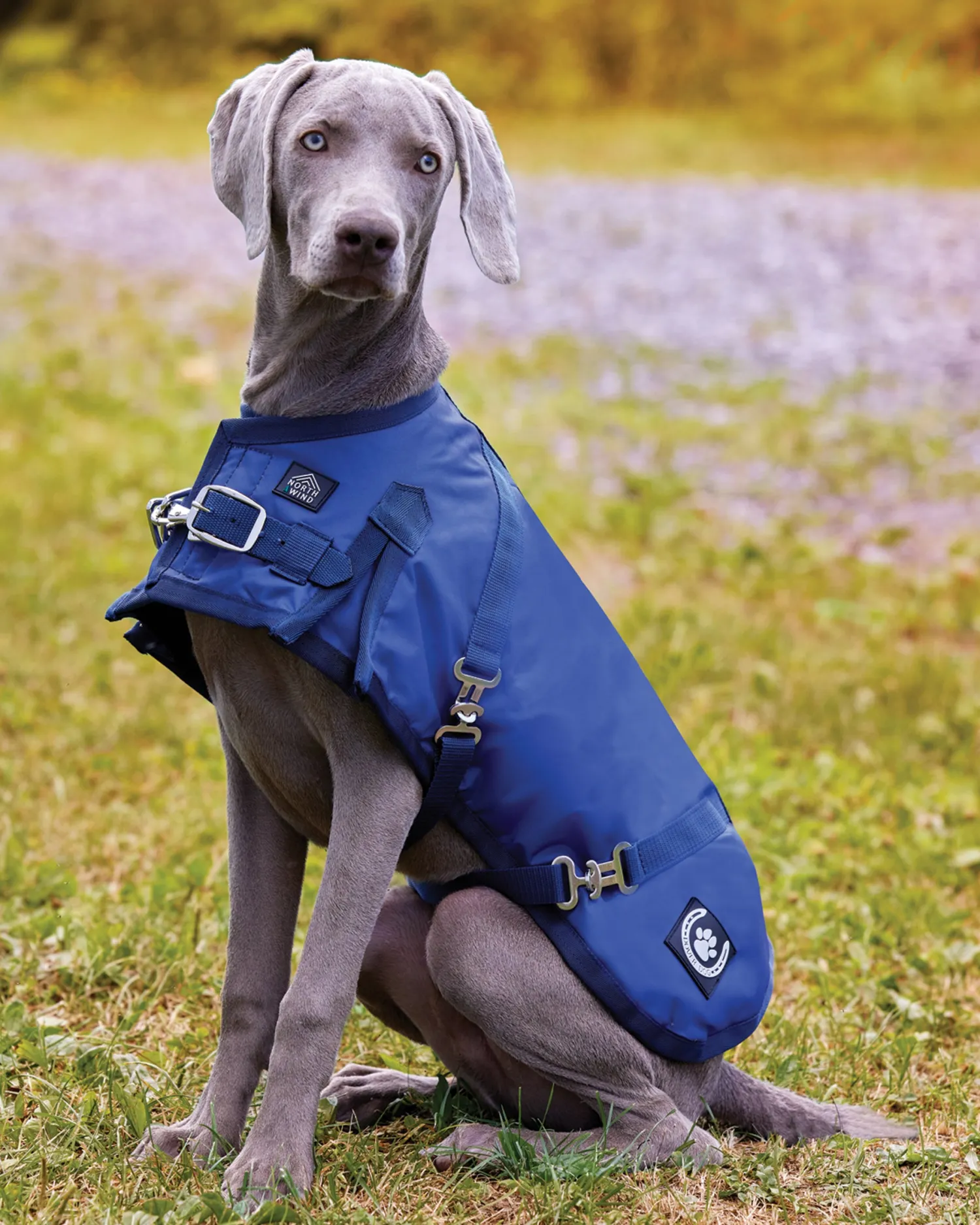 CWEAR BRANCH NorthWind™ Dog Turnout Blanket- Dog Blankets