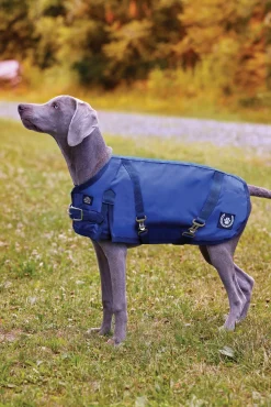 CWEAR BRANCH NorthWind™ Dog Turnout Blanket- Dog Blankets