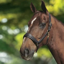 OTTO SCHUMACHER Leather Halter- Halters