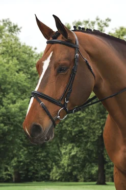 ERS Ovation® Comfort Crown Dressage Bridle- English Bridles