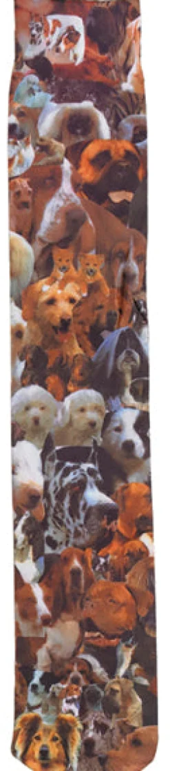 ERS Ovation® Kids' Zocks™- Equestrian Socks|Riding Socks & Undergarments