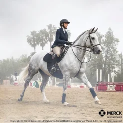 ANIMAL HEALTH INT Panacur Paste Dewormer- Horse Dewormers