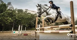 ANIMAL HEALTH INT Panacur® PowerPac- Horse Dewormers