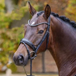 GEM-PASSIER Passier® Shadow Bridle- English Bridles