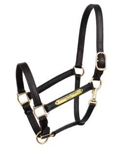PERRIS LEATHER Perri’s® 1" Leather Turnout Halter with Nameplate- Halters