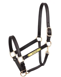 PERRIS LEATHER Perri’s® 1" Leather Turnout Halter with Nameplate- Halters