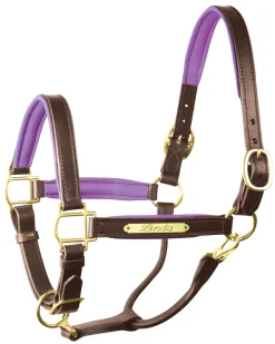 PERRIS LEATHER Perri’s® 1" Padded Leather Halter with Nameplate- Halters