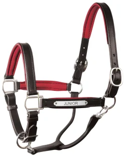 PERRIS LEATHER Perri’s® 1" Padded Leather Halter with Nameplate- Halters