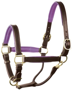 PERRIS LEATHER Perri’s® 1" Padded Leather Halter- Halters