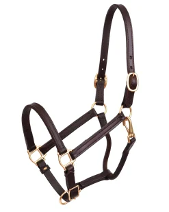 PERRIS LEATHER Perri’s® 3/4" Premium Leather Show Halter- Halters